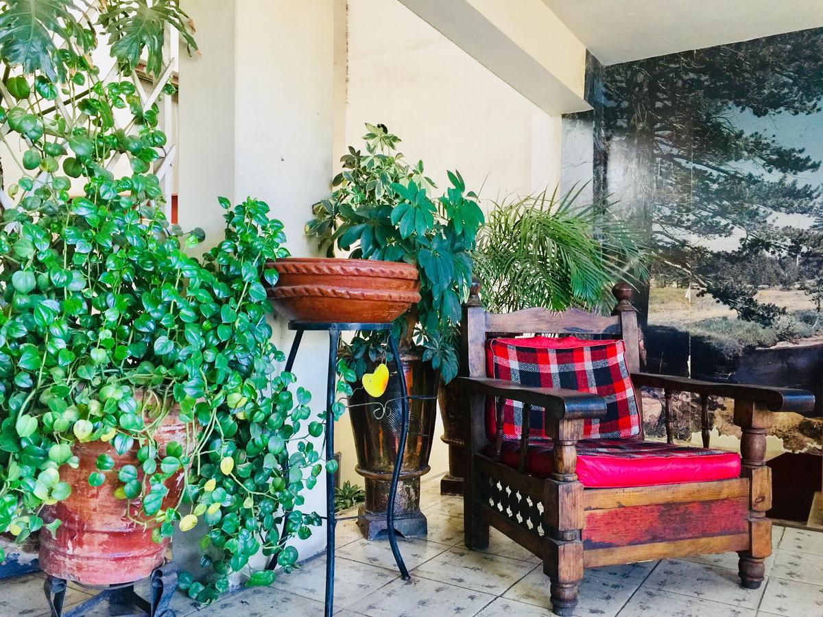 Hotel Emil Tequila Dış mekan fotoğraf